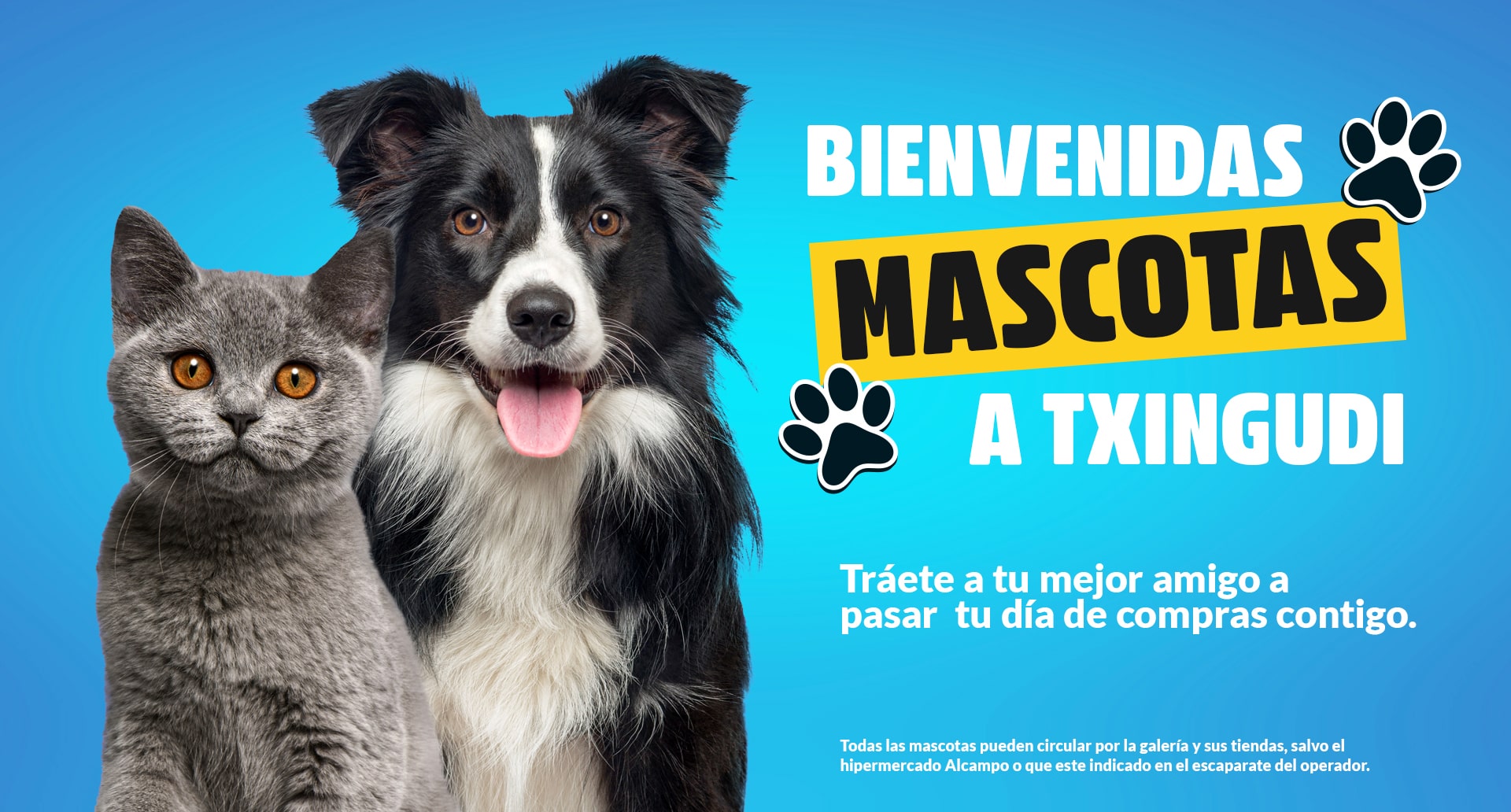 Acceso Mascotas